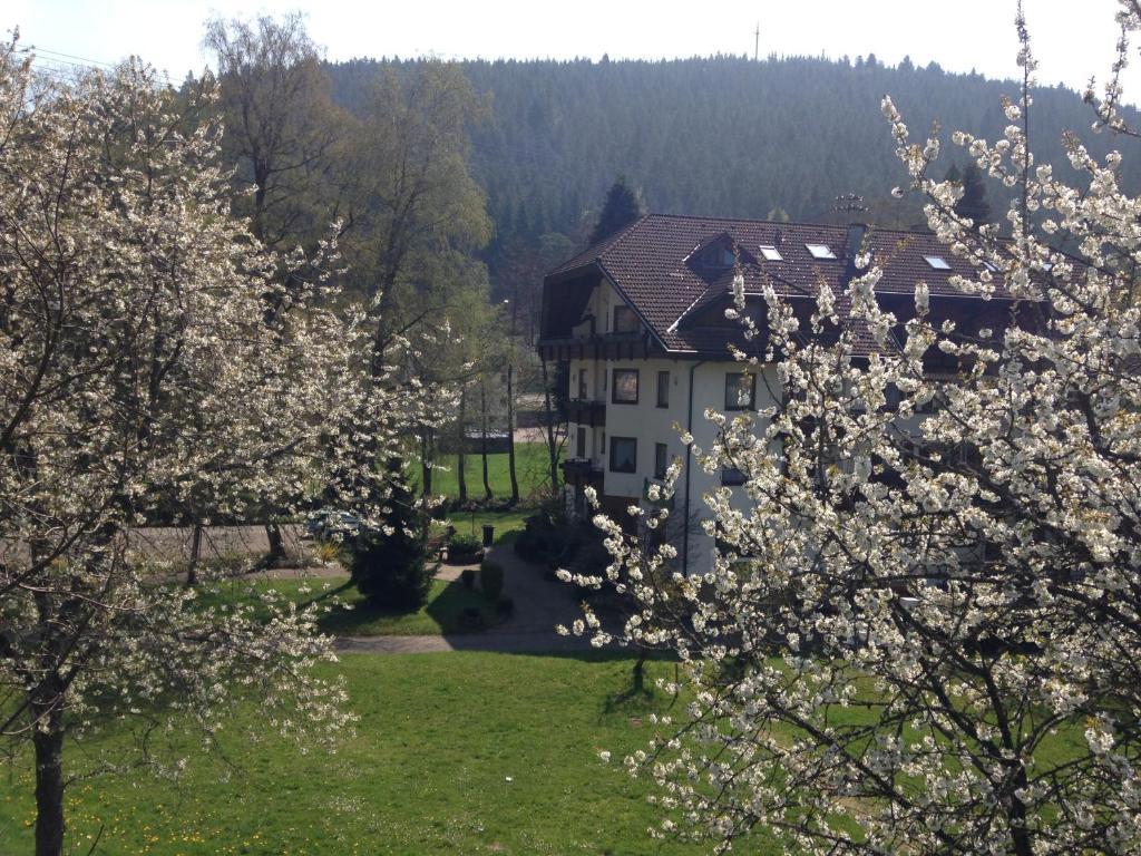 Hotel Enz Residenz à Enzklösterle Extérieur photo